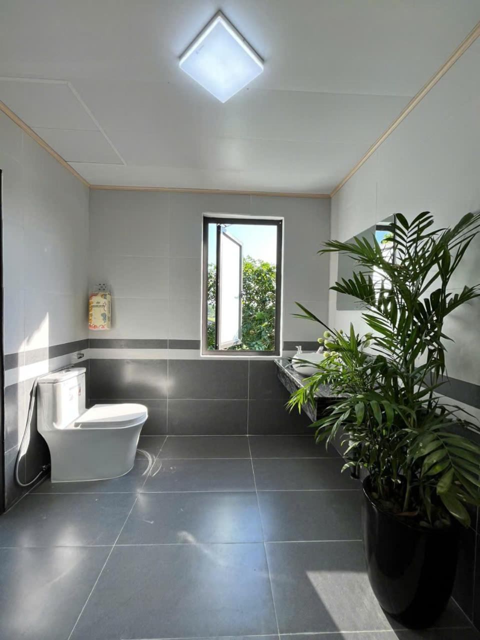 The Green House Homestay Ninh Bình Exteriör bild